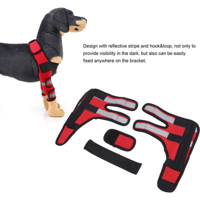 1 Paire d'Attelles Avant pour Chien avec Manchon de Soutien Genouillères pour Animaux de Compagnie pour Blessures Ligamentaires Entorses et Perte de Stabilité