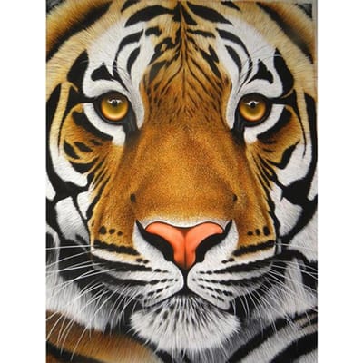 Diamant peinture tigre diamant broderie point de croix rond plein diamant mosaïque photo 20X30CM orange
