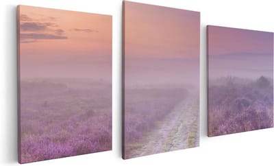 Artaza Canvas Schilderij Drieluik Pad in de Weide tijdens de Mist - 120x60 - Foto Op Canvas - Canvas Print