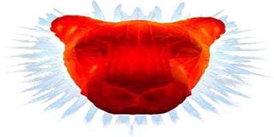 Dieren Wandlamp - 3D Illusie Lamp - Kinderkamer Decoratie - Drukknop Bediening - 19 x 19 x 13 cm - Leeuw