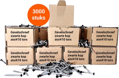Gevelschroeven zwarte kop aisi410 4x40 - Voordeelpakket 3.000 stuks