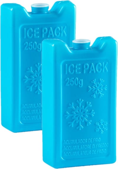Plasticforte Koelelementen - 2x - 250 grams - 13 x 7.5 cm - blauw - kunststof - voor koeltas en koelbox