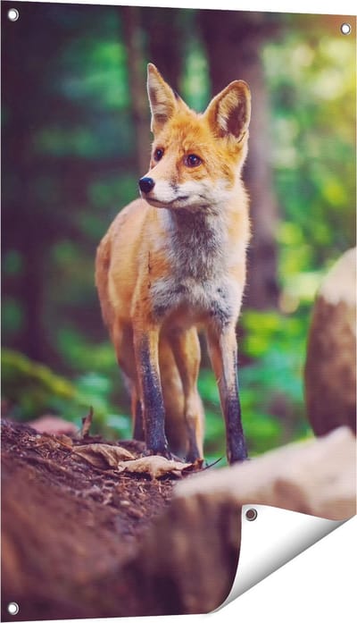 Gards Tuinposter Vos in het Bos bij Stenen - 60x90 cm - Tuindoek - Tuindecoratie - Wanddecoratie buiten - Tuinschilderij