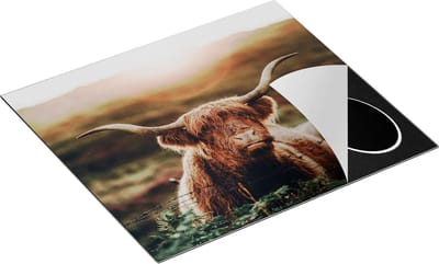 Chefcare Inductie Beschermer Schotse Hooglander Koe in de Zon - 60x50 cm - Afdekplaat Inductie - Kookplaat Beschermer - Inductie Mat