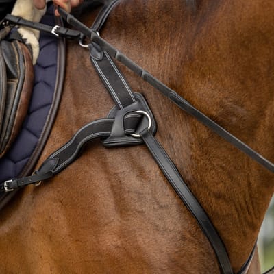 Horsegear Borsttuig Horsegear Hgvertou Zwart