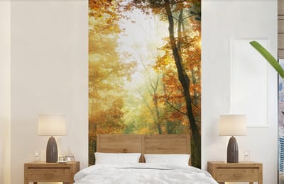 Behang - Fotobehang Bos - Herfst - Zon - Landschap - Natuur - Bomen - Bladeren - Breedte 120 cm x hoogte 240 cm