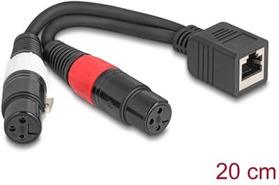 Delock Adapter Cable RJ45 jack to 2 x XLR 3 pin jack black 20 cm