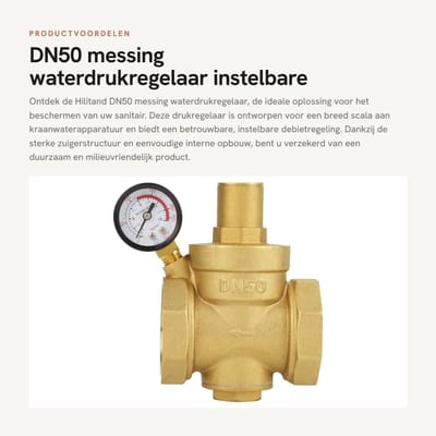 Dailygoods- Waterdrukregelaar DN50 - Instelbare Drukregelaar - Messing - Duurzaam Gebruik - Geen Bypass - Max. Druk 1,6 Mpa