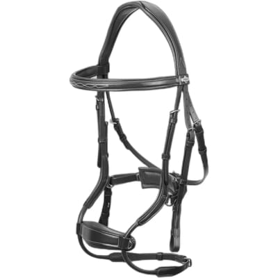 Hoofdstellen voor paarden LeMieux Kudos Clear Arc