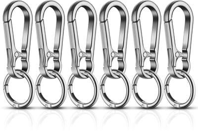 Dailygoods - flintronic 6 stuks karabijnhaken, sleutelhanger, metaal, afneembare karabijnhaak, kleine karabijnhaak voor autosleutels, rugzak, camping, reizen