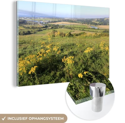 ® Glasschilderij 180x120 cm - Schilderij acrylglas - Geel struikgewas op het landschap van het Nationaal park South Downs - Foto op glas - Muurdecoratie woonkamer - Wanddecoratie slaapkamer - Schilderijen