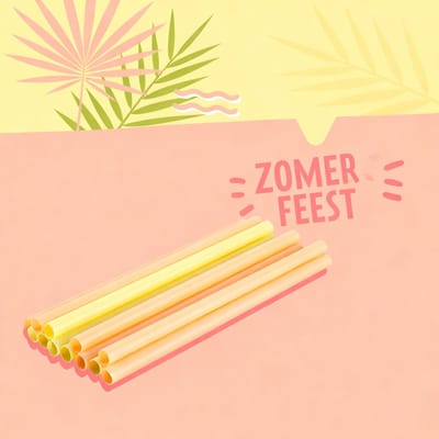 Set van 12 gekleurde plastic rietjes 20 cm Fackelmann Summer Party