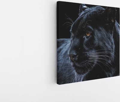 Saammp Canvas Schilderij - Zwarte Panter - Portret - Natuur - Dieren - 20x20 - Foto op canvas - Wanddecoratie - Muurdecoratie Kinderkamer - Slaapkamer decoratie - Canvas Print