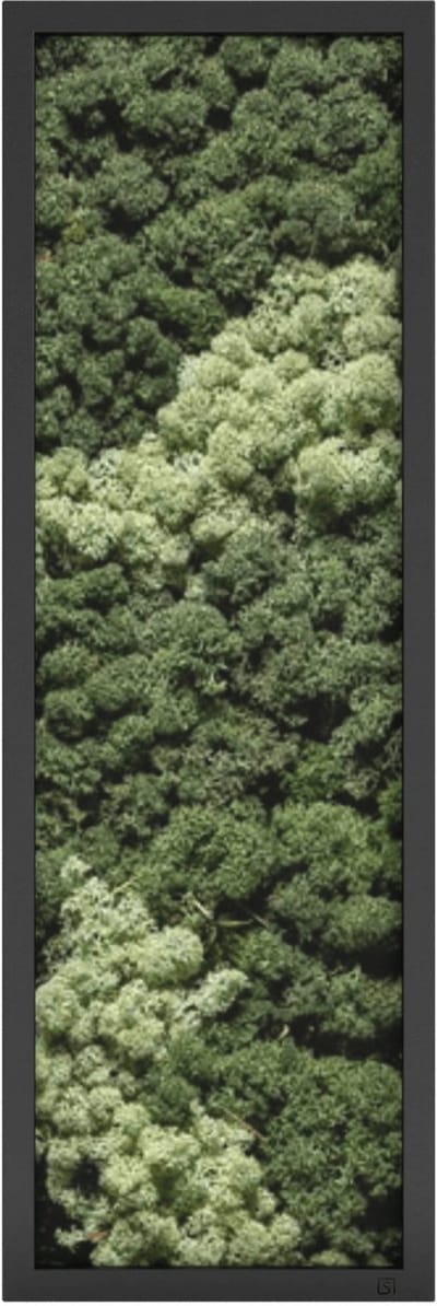 Mosschilderij 120x40 cm Portret Zwart - Moswand - Mos decoratie - Plantenwand - Akoestisch Wandpaneel