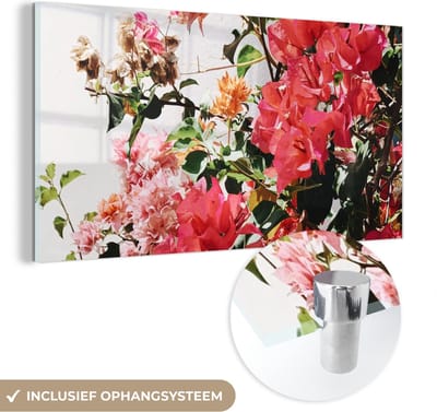 MuchoWow® Glasschilderij 120x60 cm - Schilderij acrylglas - Bloemen - Struik - Zomer - Roze - Foto op glas - Schilderijen