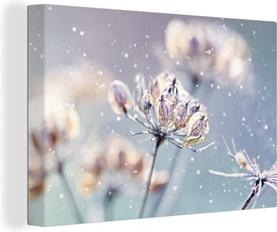 Canvas Schilderij Bloemen - Sneeuw - IJs - Winter - Botanisch - 60x40 cm - Wanddecoratie