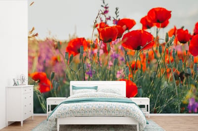 Behang - Fotobehang Klaproos - Bloemen - Rood - Paars - Weide - Breedte 525 cm x hoogte 350 cm