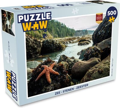Puzzel Zee - Stenen - Zeester - Legpuzzel - Puzzel 500 stukjes