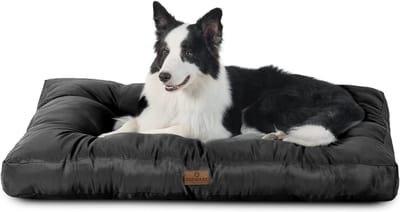 Topmast Hondenkussen Noble Waterproof - Luxe Matras - Zwart - 76 x 50 x 12 cm