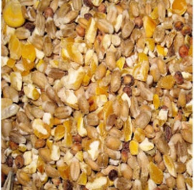 Fakkert Biologisch Gemengd graan 20KG