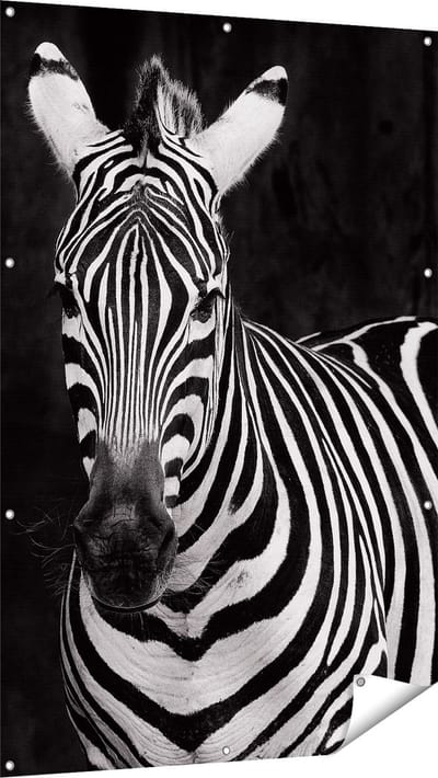 Gards Tuinposter Twee Zebra's - Zwart Wit - 100x150 cm - Tuindoek - Tuindecoratie - Wanddecoratie buiten - Tuinschilderij