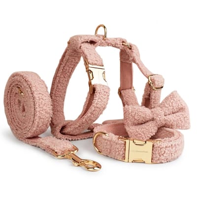 DreamPawz - Teddy Ready - 4-Delige Set met Tuigje, Halsband, Strik en Riem - Harnas voor kleine honden - Roze - S