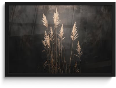 Poster in lijst - Fotolijst 60x40 cm - Posters - Siergras - Pluimen - Verlichting - Zwart - Posterlijst zwart - Decoratie - Wanddecoratie woonkamer - Muurdecoratie slaapkamer
