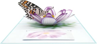 Verjaardagskaart met vlinders en cosmos bloemen - 3D cosmos bloemen - gepersonaliseerde pop-up kaart voor vriendin - oma - moeder - vrouw - Moederdag - Valentijnsdag - Thanksgiving