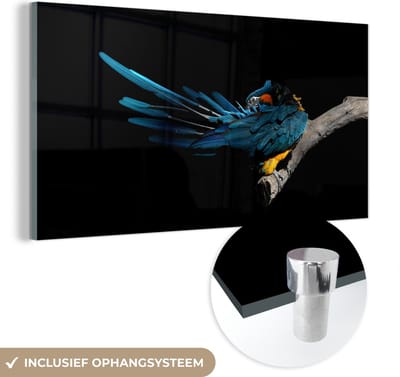 MuchoWow® Glasschilderij 40x20 cm - Schilderij acrylglas - Vogel - Veren - Tak - Zwart - Foto op glas - Schilderijen