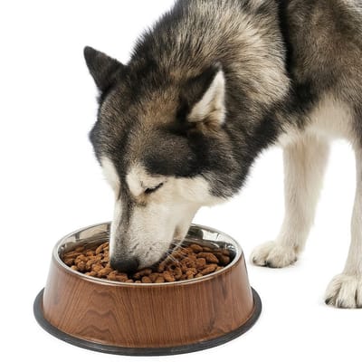 Nobleza Grote hondenvoerbak maat L - Luxe RVS voerbak voor grote hond - Anti slip - Inhoud 850 ml