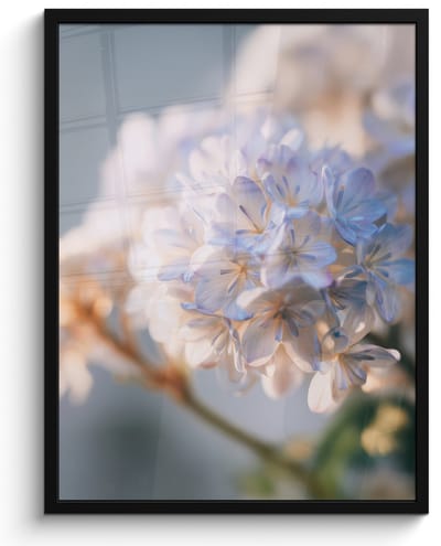 Poster in lijst - Fotolijst 60x80 cm - Posters - Bloemen - Lichtblauw - Wazig - Trosje - Posterlijst zwart - Decoratie - Wanddecoratie woonkamer - Muurdecoratie slaapkamer