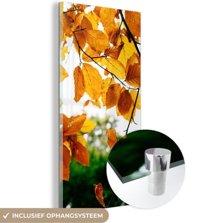 MuchoWow® Glasschilderij 20x40 cm - Schilderij acrylglas - Herfstbladeren - Boom - Landelijk - Foto op glas - Schilderijen