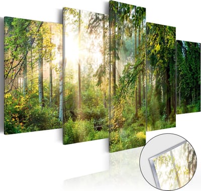 Schilderijen Op Canvas - Afbeelding op acrylglas - Green Sanctuary [Glass] 200x100 - Artgeist Schilderij