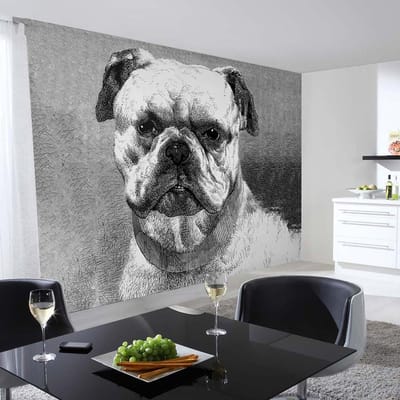 Fotobehang Bulldog DD108930 A.S. Création AP Digital 4 | 3D Fotobehang