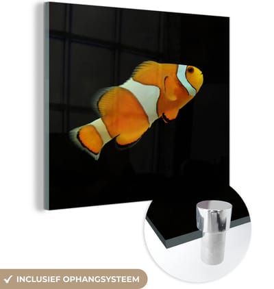 MuchoWow® Glasschilderij 50x50 cm - Schilderij acrylglas - Vis - Lijn - Zwart - Foto op glas - Schilderijen