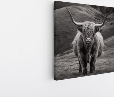 Saammp Canvas Schilderij - Schotse Hooglander Koe tussen de rode planten - Landschap - Dieren - Natuur - 20x20 - Foto op canvas - Wanddecoratie - muurdecoratie Woonkamer - Slaapkamer decoratie - Canvas Print