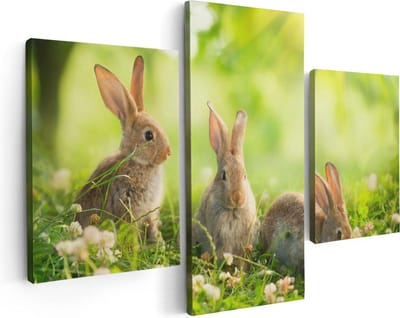 Artaza Canvas Schilderij Drieluik Drie Konijnen Op Het Gras Bij Zonneschijn - 90x60 - Foto Op Canvas - Canvas Print