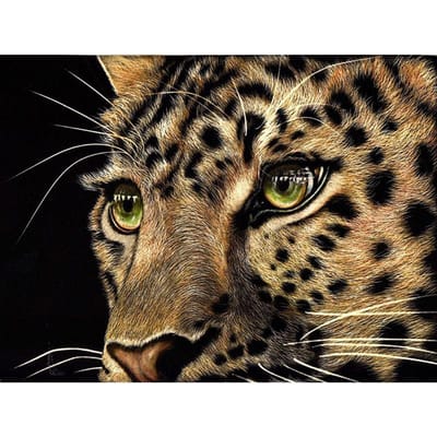 Peinture diamant, point de croix, léopard féroce, mosaïque, broderie animale 20X30CM brown
