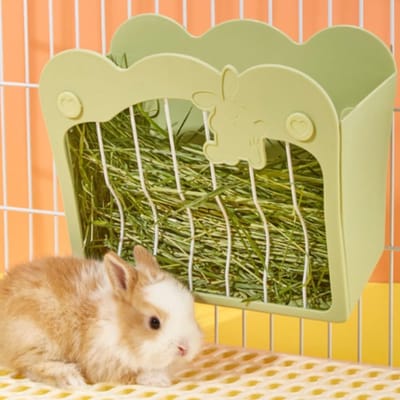 Lexium Hooiruif - Hooivoeren voor konijn of cavia - Hooidispenser knaagdier - Voerbak konijn - Voerruif