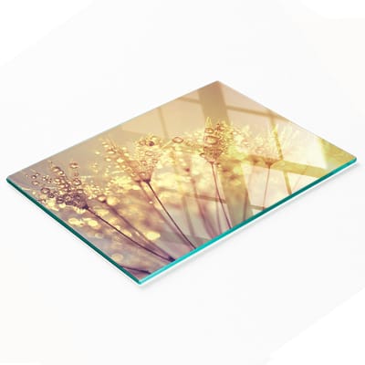Multifunctionele decoratieve glazen keukenplank met paardenbloemenmotief, 80x52 cm