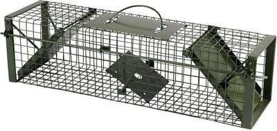 Groene ratten / wezel vangkooi