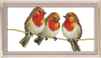 Cross Stitch Kits met Drie Kleine Vogels voor Volwassenen - DIY Borduurset 14 Count voor Beginners, Vooraf Geprint of Ongeprint, Handwerkset voor Creatieve Projecten