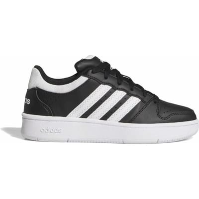 Basketbalschoenen adidas Baskets Hoops Classic synthétique