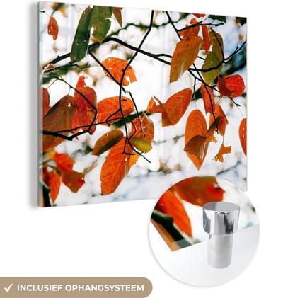 MuchoWow® Glasschilderij 40x30 cm - Schilderij acrylglas - Herfst - Bladeren - Landelijk - Seizoenen - Foto op glas - Schilderijen
