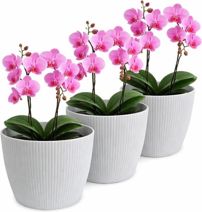 Bloempot, mat, plantenpot, overpot, kunststof, decoratief, groot, set van 3 stuks, kruidenpot, grijs, doorsnede 16 cm