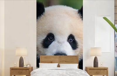 Behang - Fotobehang Panda - Wilde dieren - Portret - Steen - Breedte 120 cm x hoogte 240 cm