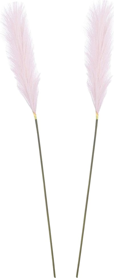 Mica Decorations Pluimgras losse steel/tak - 2x - lila paars - 104 cm - Decoratie kunst bloemen