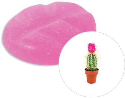 Scentchips® Cactusbloem - Geurblokjes - Huisparfum - Geurchips - Waxmelts - Geschikt voor Geurbrander en Waxbrander - S - 8 Stuks