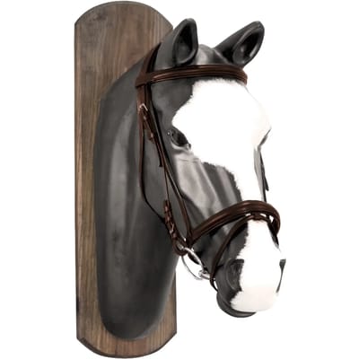 Paardenbits met katoenen teugels Derby