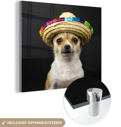 MuchoWow® Glasschilderij 50x50 cm - Schilderij acrylglas - Hond - Sombrero - Zwart - Foto op glas - Schilderijen